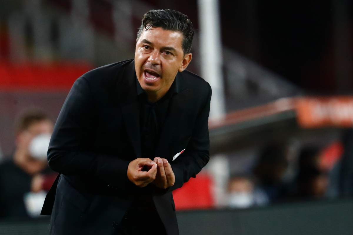 marcelo gallardo