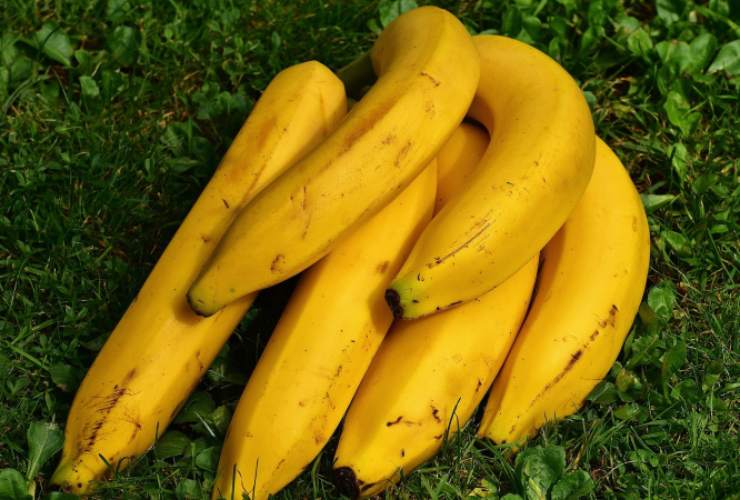 La dieta delle banane