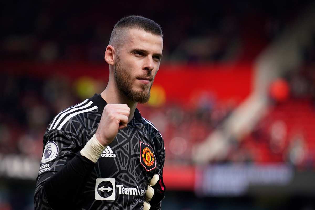 Newcastle De Gea