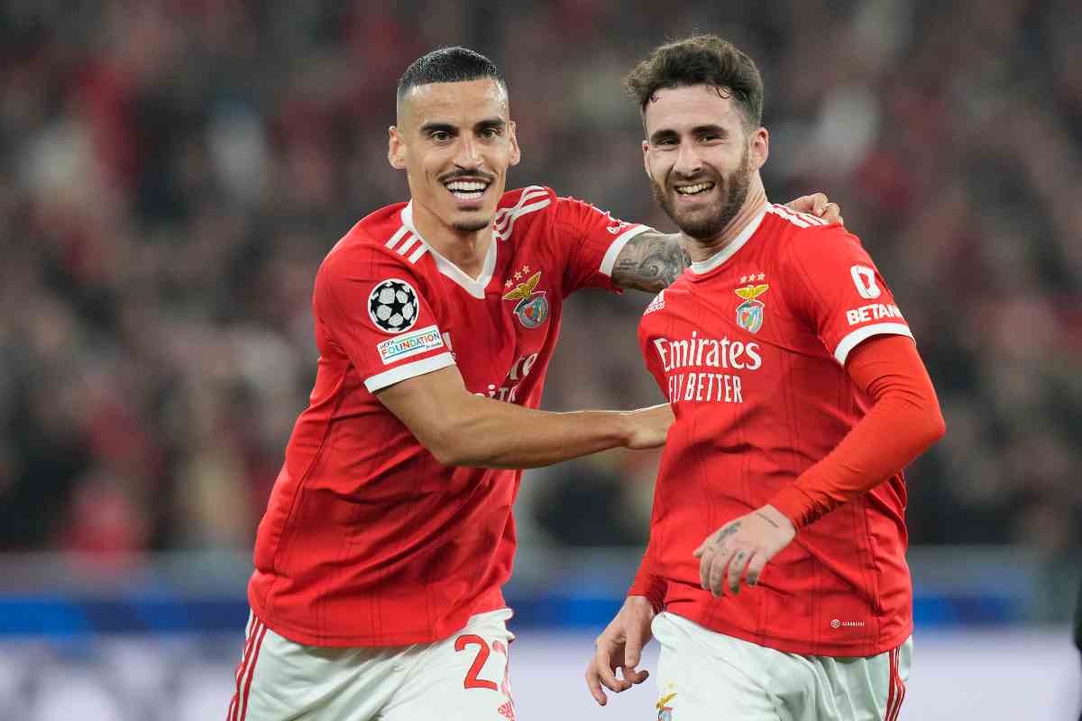 rafa silva benfica