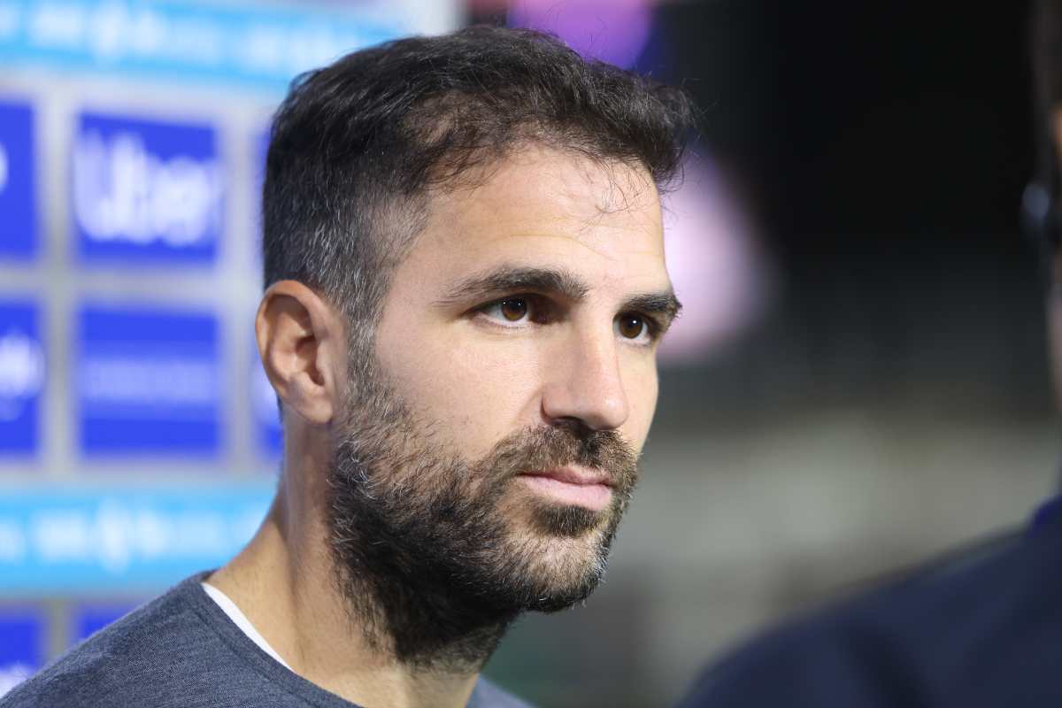 Cesc Fabregas