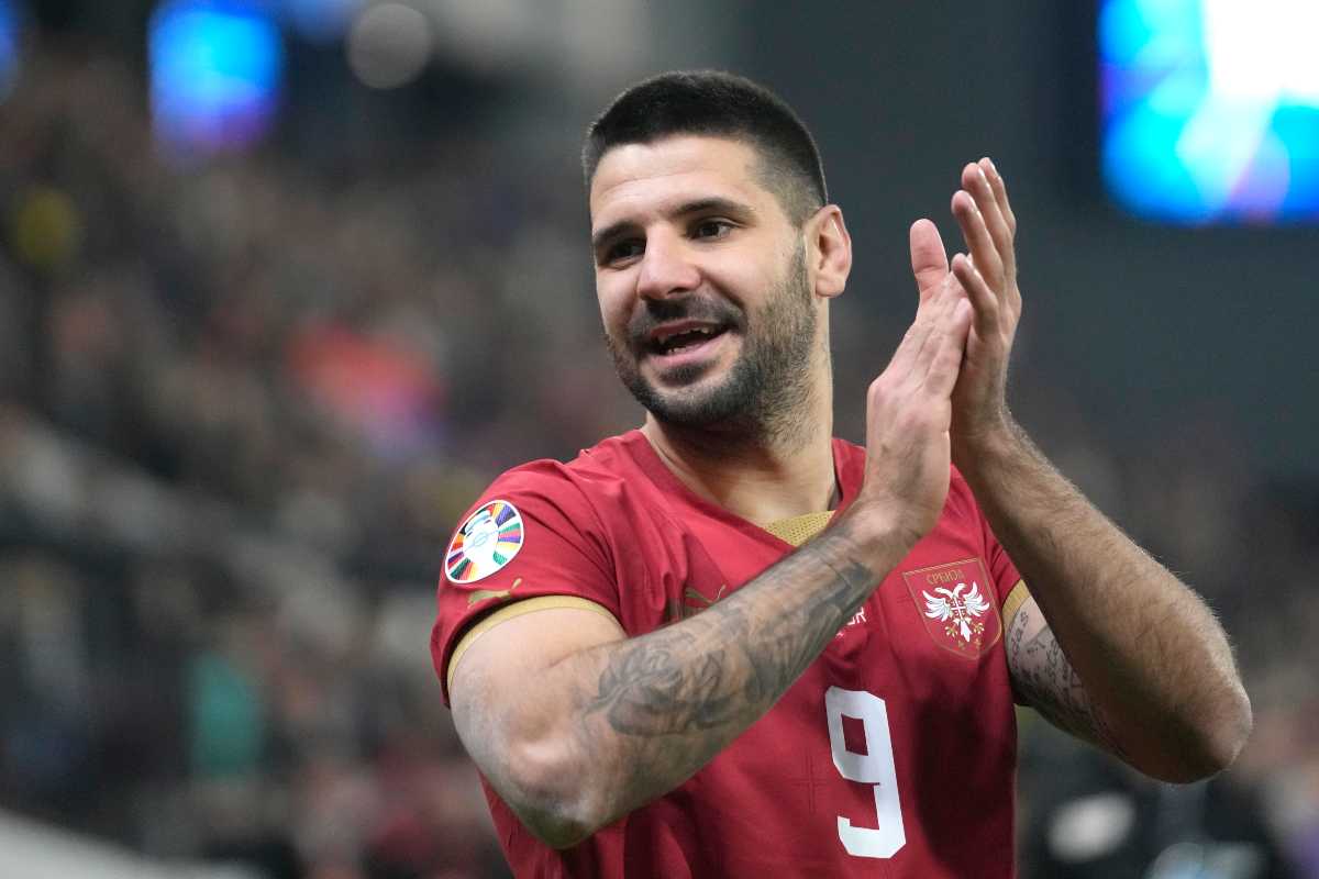 Milan Aleksandar Mitrovic