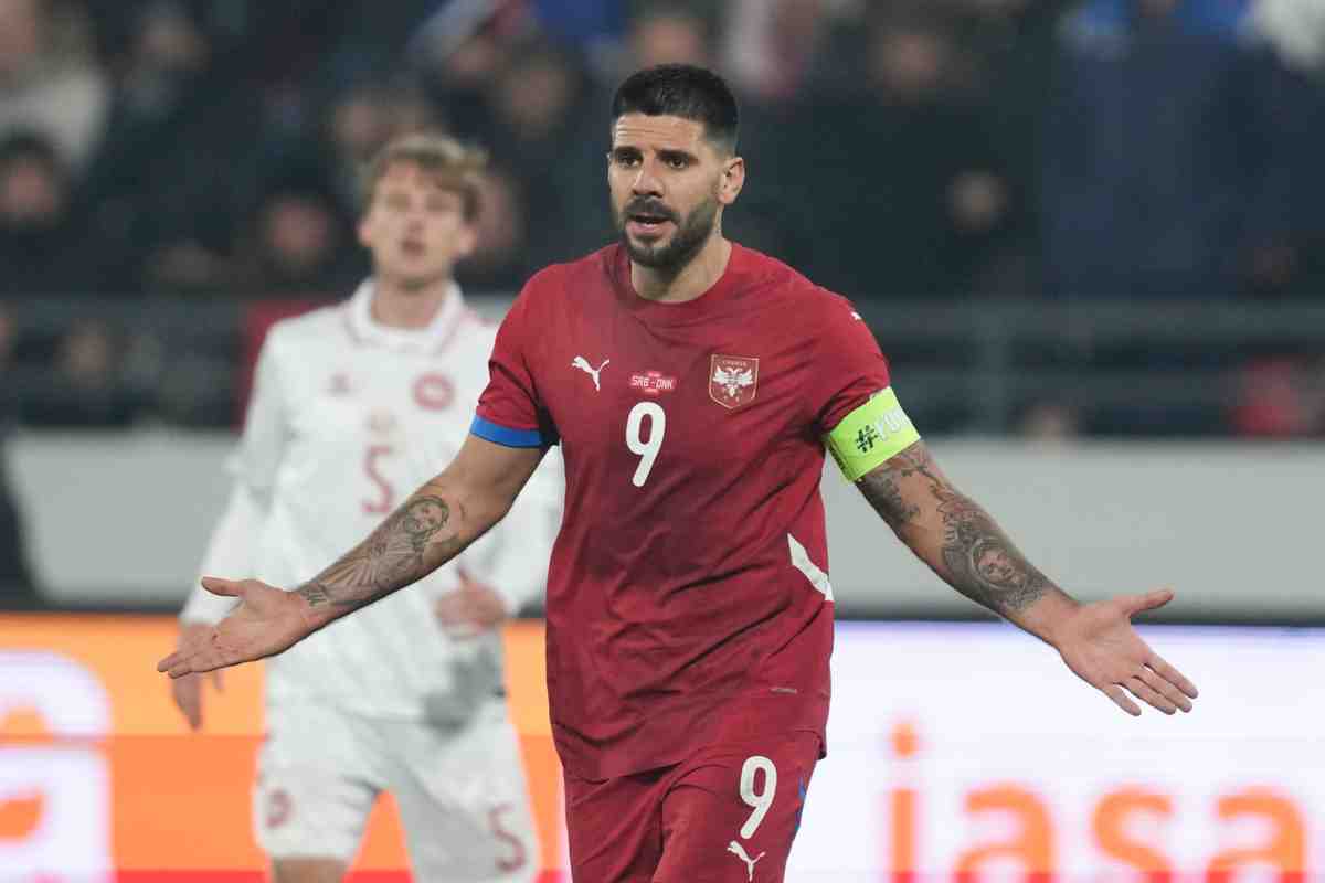 mitrovic