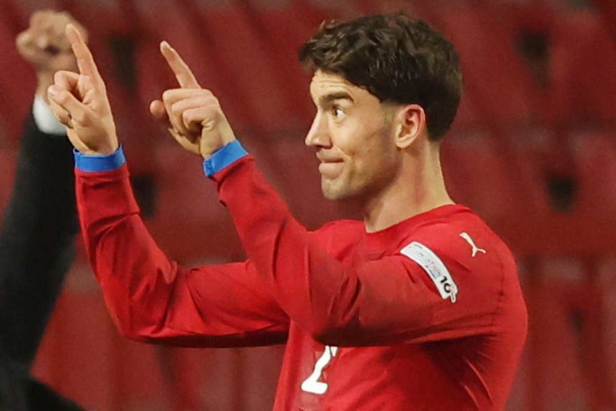 Vlahovic Milan